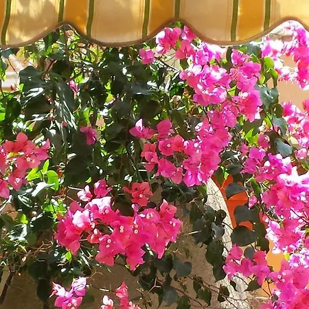 Trinacria Holiday home Santa Maria Del Focallo